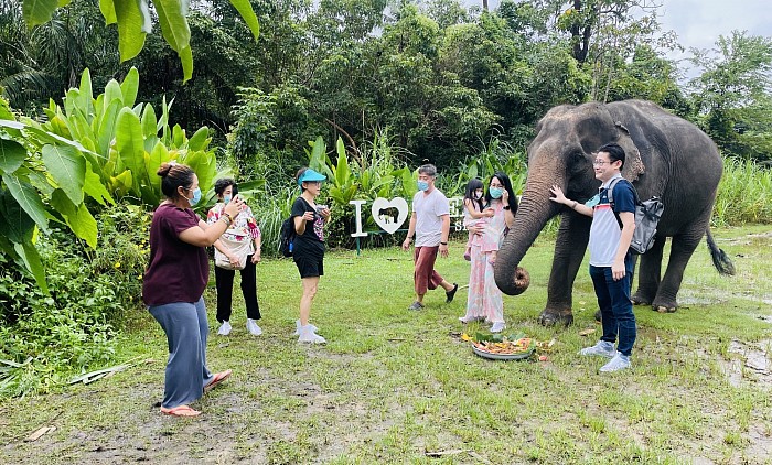 ทริป ให้อาหาร น้องช้าง 🐘